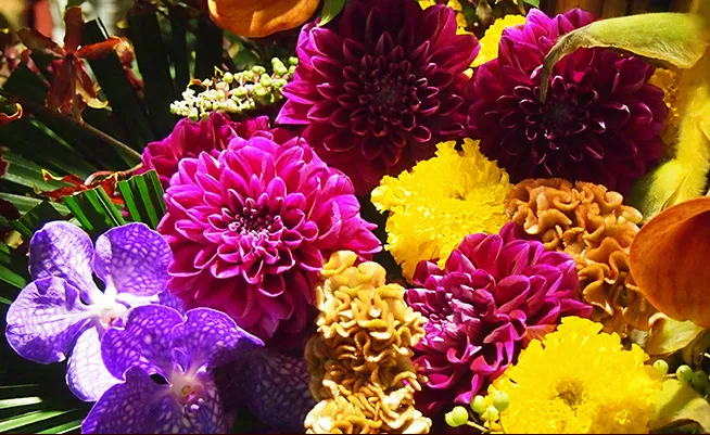 株式会社MATAHARI